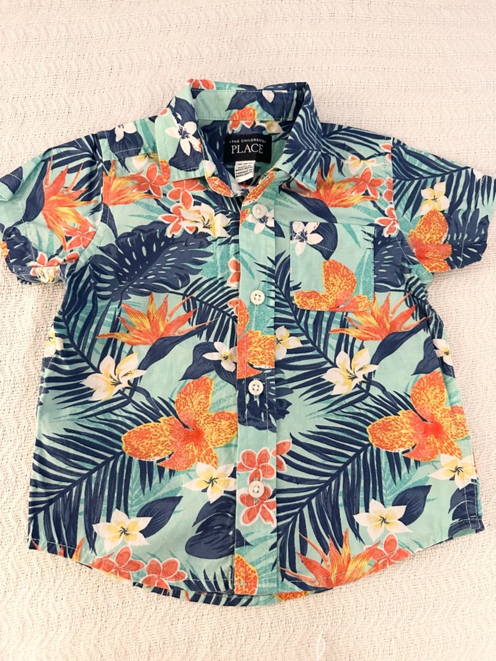 Baby Boy Button Down Shirt